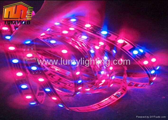 Flexible LED Grow Strips 4