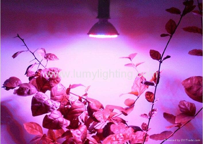 PAR Series LED Grow Bulbs