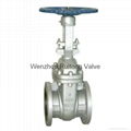 A216 wcb rising stem gate valve 1