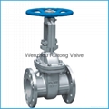 JIS flange gate valve scs13