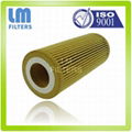 Automotive Oil Filter For VW 5