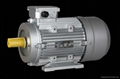 HIGH PRESSURE WASHER MOTOR 1