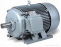 Y Series Three-Phase Asynchronous Motor