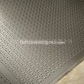 Perforated Hole stainless steel  Metal Mesh 4