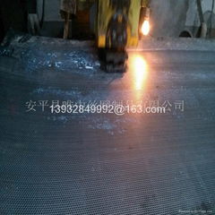 Perforated Hole stainless steel  Metal Mesh