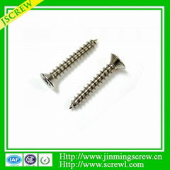 C1022 Phillip recess Pan head self tapping screw