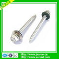 C1022 Phillip recess Pan head self tapping screw 3