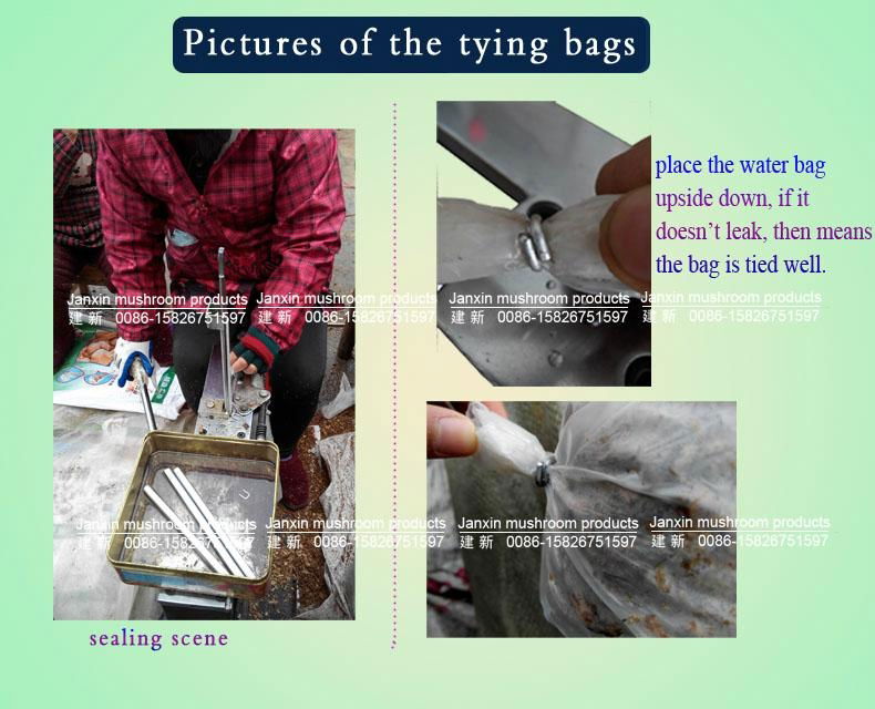 edible fungi cultivation strain bag filling machine  4