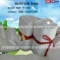 PP PE mushroom cultivate substrate bag 1