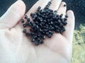 PA6 nylon6 recycled plastic pellets with high impact strength  2