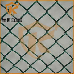 Chain link fence