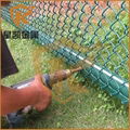 Chain link fence 4