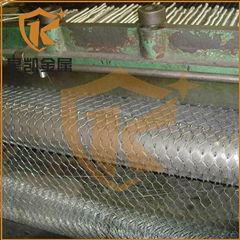 elecreo galvanized hexagonal wire net