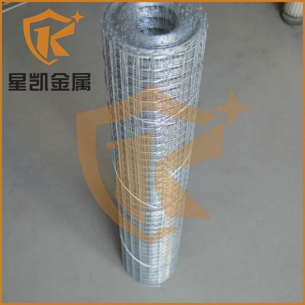 2x2 galvanized welded wire mesh