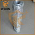 2x2 galvanized welded wire mesh