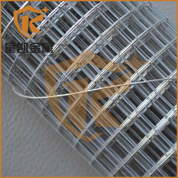 2x2 galvanized welded wire mesh 3