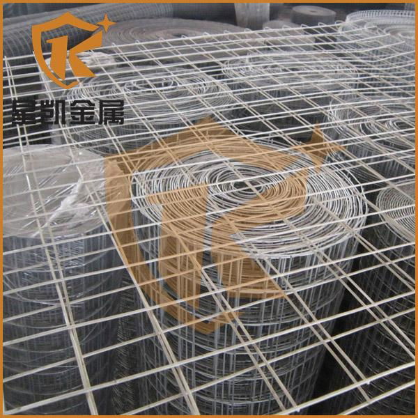 2x2 galvanized welded wire mesh 5