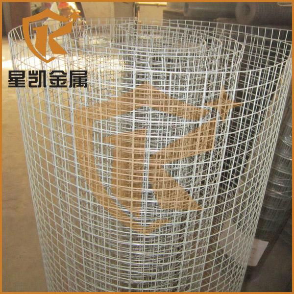 2x2 galvanized welded wire mesh 4