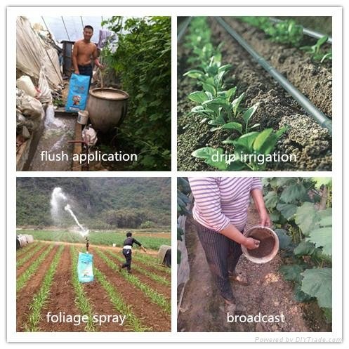 drip irrigation cocoly water soluble fertilizer 2