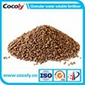 Water Soluble Compound Fertilizer NPK