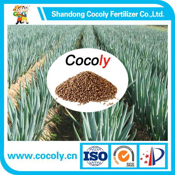 Water Soluble granular fertilizer Plus Organic Fertilizer