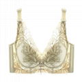 Champs Elysees thick section of adjustable bra