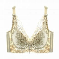 Champs Elysees thick section of adjustable bra