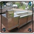 Big Model Automatic Fruit And Vegetable Washing Machine 2