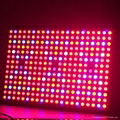 2015 Herifi BS003 Gemstone 600w led grow light hydroponic grow for indoor growth 4