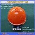 101.4KHZ光纜光纖通信球形電子標識器 地下電子標籤