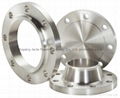 Stainless steel flange