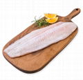 Wooden Chopping Board for Home 