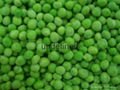 Frozen Green Peas 1