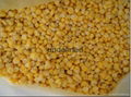 IQF Sweet Corn Kernels