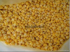 IQF Sweet Corn Kernels