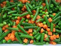 IQF Mixed Vegetables