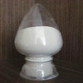 2-Chloronicotinic acid CAS:2942-59-8 Chemical Intermediate with best price 1