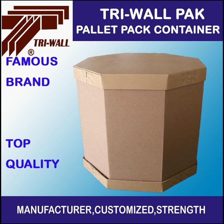 IBC container    octangular carton box 1