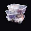 Disposable food container 2