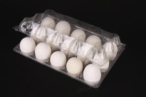 plastic egg tray