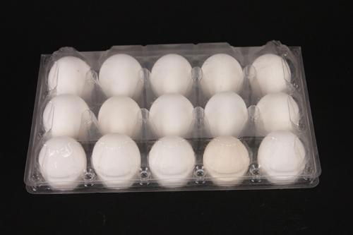 plastic egg tray 2