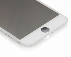 LCD Screen for iPhone