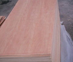 PLYWOOD