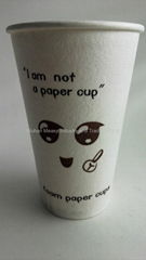 Foaming paper cup