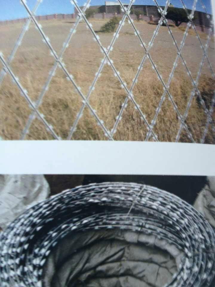 razor wire mesh barbed 2