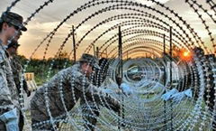 barbed wire