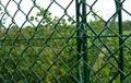 chain link fence 1