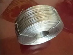 hot dipped galvanized wire