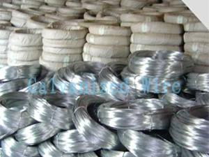 hot dipped galvanized wire 2