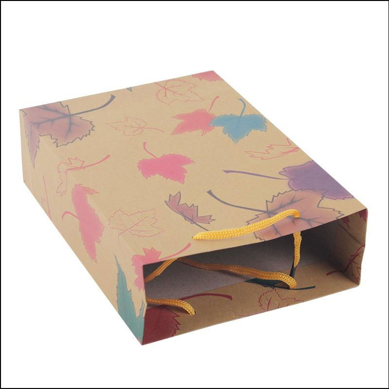 China factory produce stand up kraft paper bag 2